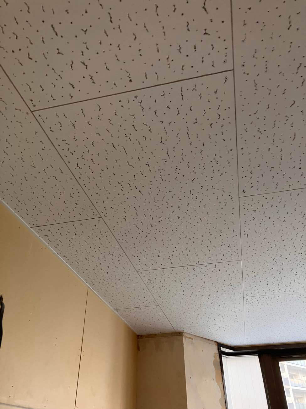 マンション　天井、壁工事　（相模原市中央区）